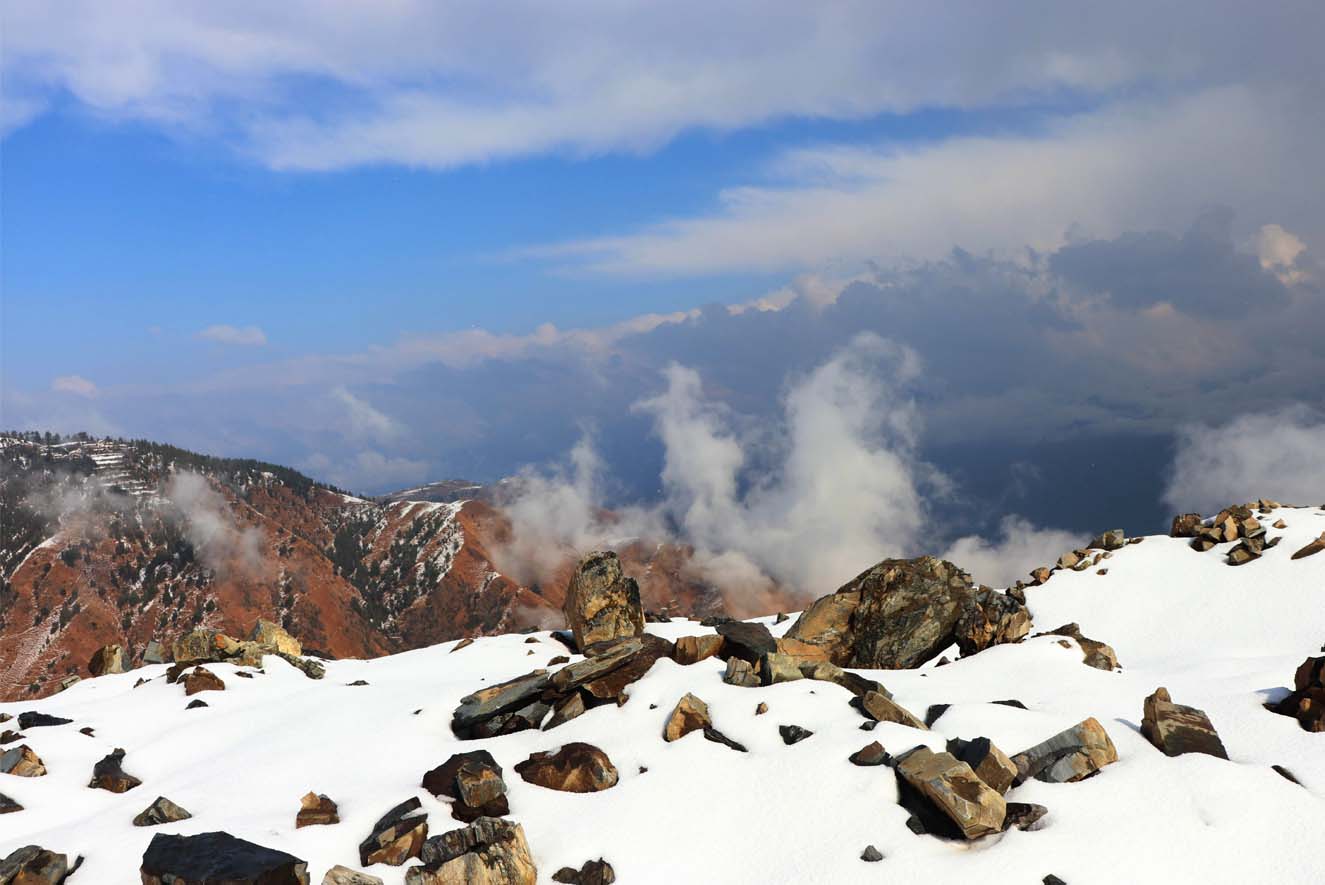 Gallery Thumbnail Image